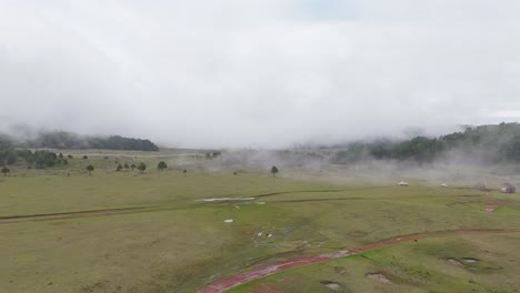 a dreamy landscape of vibrant green grassland covered in mist, with low fluffy clouds drifting peacefully above.