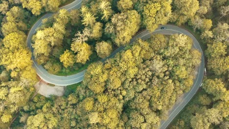 Paisaje-Aéreo-Con-Luz-Dorada-Sobre-Una-Curva-En-S,-Con-Pájaros-Volando-Atravesando-El-Paisaje