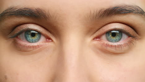 zoom eye, lashes and eyebrow on a woman face