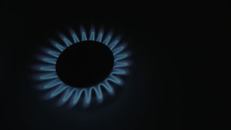 burning gas stove hob, blue flames macro close-up in the dark on a black background. gas is switching on, apearing blue flame. gas stove on isolated on a black background.