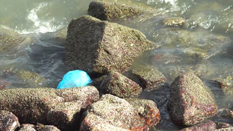 Discarded-plastic-bag-flow-at-rock