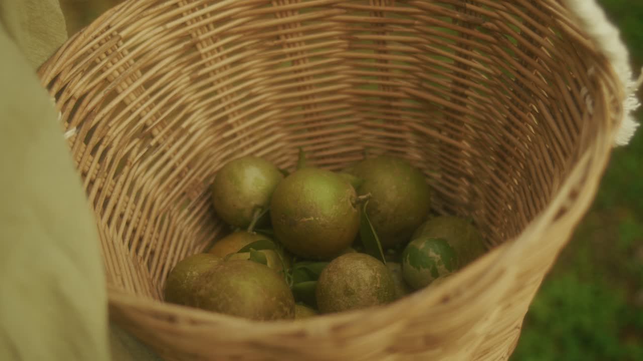 Woman holding a wicker basket filled with green fruit