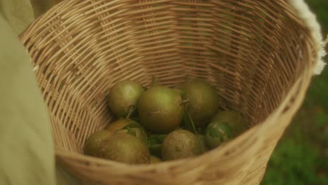 woman holding a wicker basket filled with green fruit