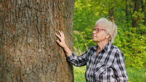 senior woman beside a tree in a park