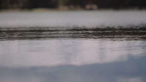 An-enchanting-view-of-shades-of-green-ripples-of-waves-flowing-across-the-Lake