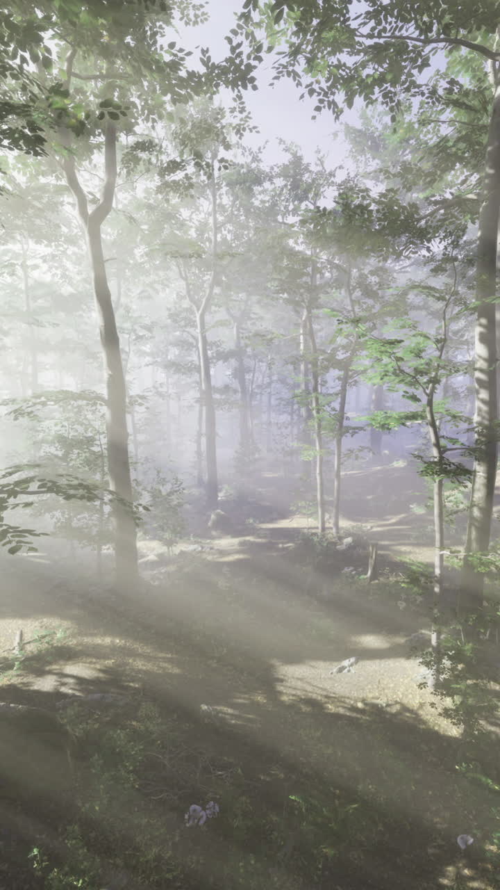 Mystical sunlight filtering through a serene forest at dawn