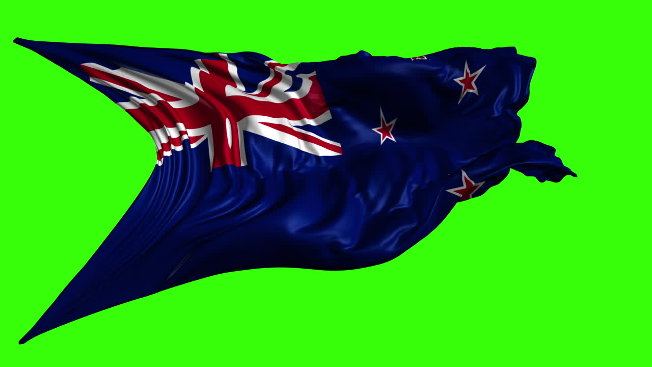 뉴질랜드 발을 흔들고