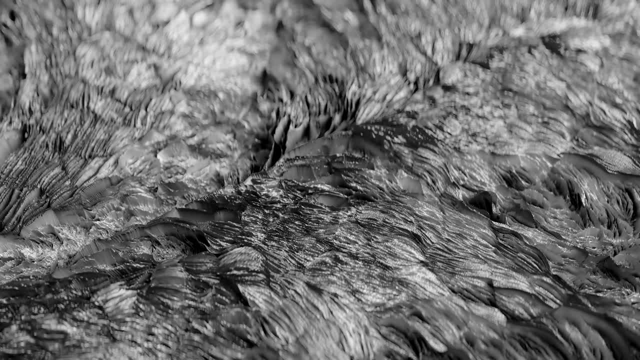 4k 추상적인 유기 조직