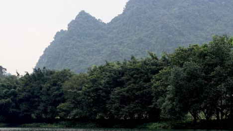 lush greenery with mountains in the background