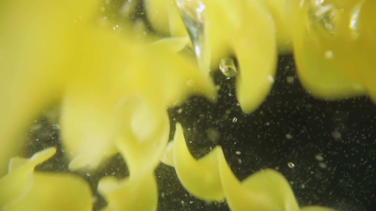 паста из фузилли падает в воду.