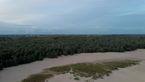 aerial jib down of forest near the edge of hilly sand dunes