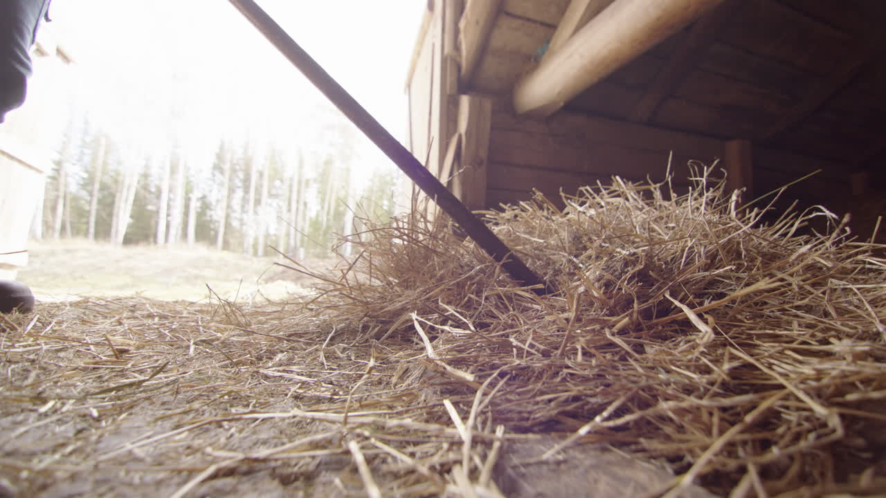SLOW MOTION CLOSEUP - the farmer moves hay across the floor