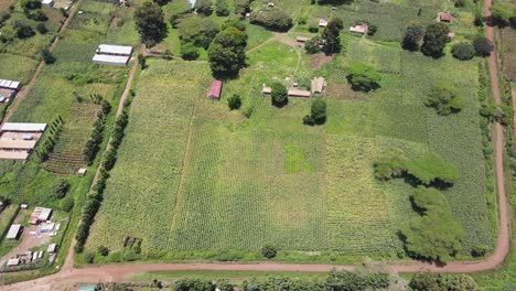 Tierras-De-Cultivo-En-El-Pueblo-De-áfrica-Kenia-Loitokitok