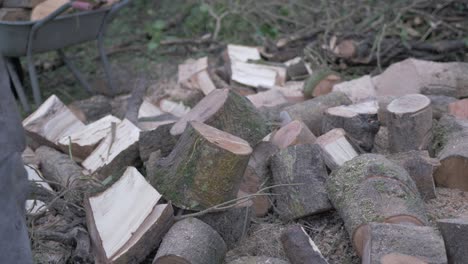 Man-chopping-logs-with-axe