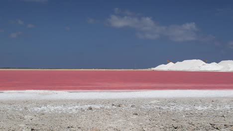 Die-Rosa-Und-Grünen-Salzpfannen-Und-Seen-Von-Bonaire