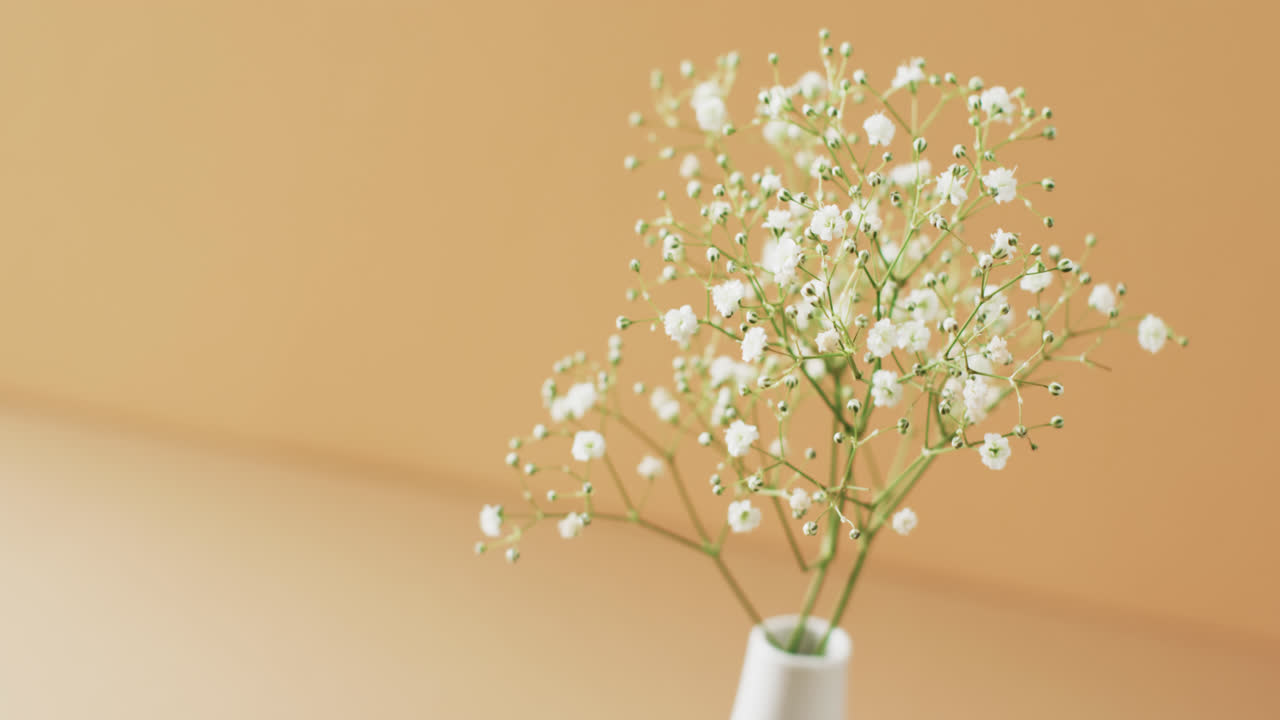 노란색 배경에 복사 공간과 함께 색 꽃병에  꽃의 비디오