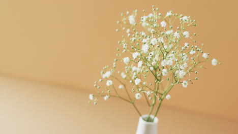 Video-of-white-flowers-in-white-vase-with-copy-space-on-yellow-background