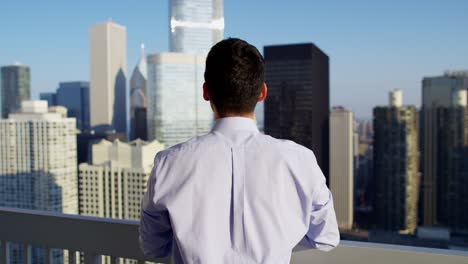 successful asian male business consultant on city rooftop