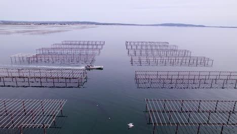 imagen aérea de un barco en una granja de ostras, mejillones, frutos de mera producción, en el mar, vista de drones, costa francesa del océano, proceso de cultivo de peces