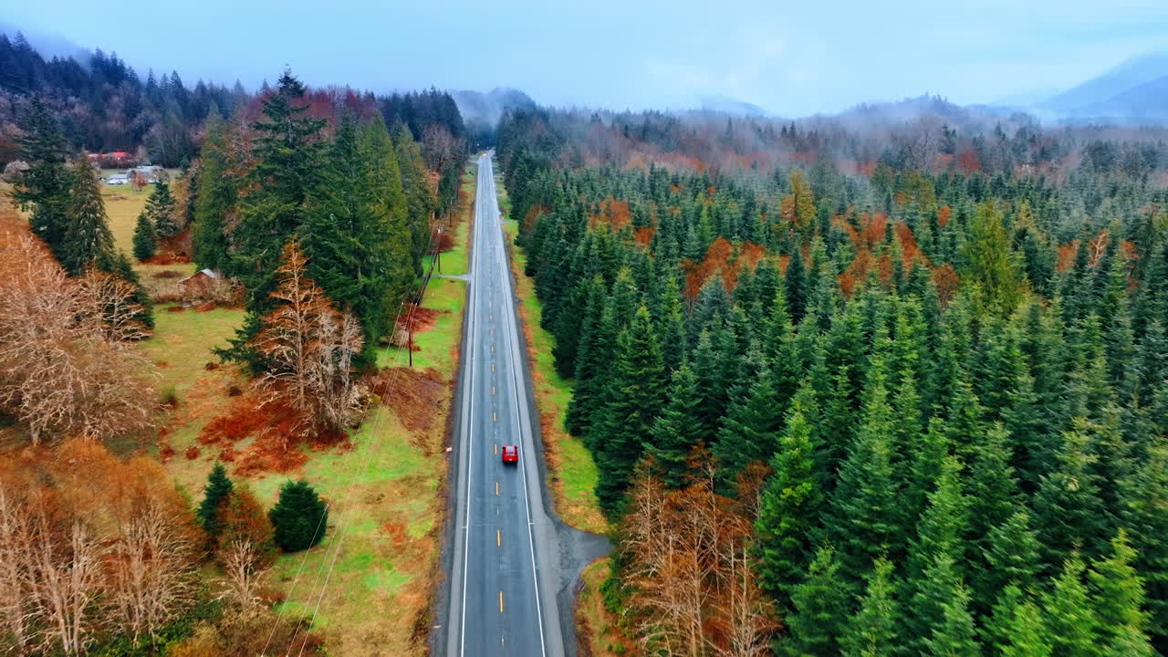 Beautiful natural wild landscape crossed by the speed highway. Two cars move by the roads in the mountainous area covered with pine tree forest. Aerial view.