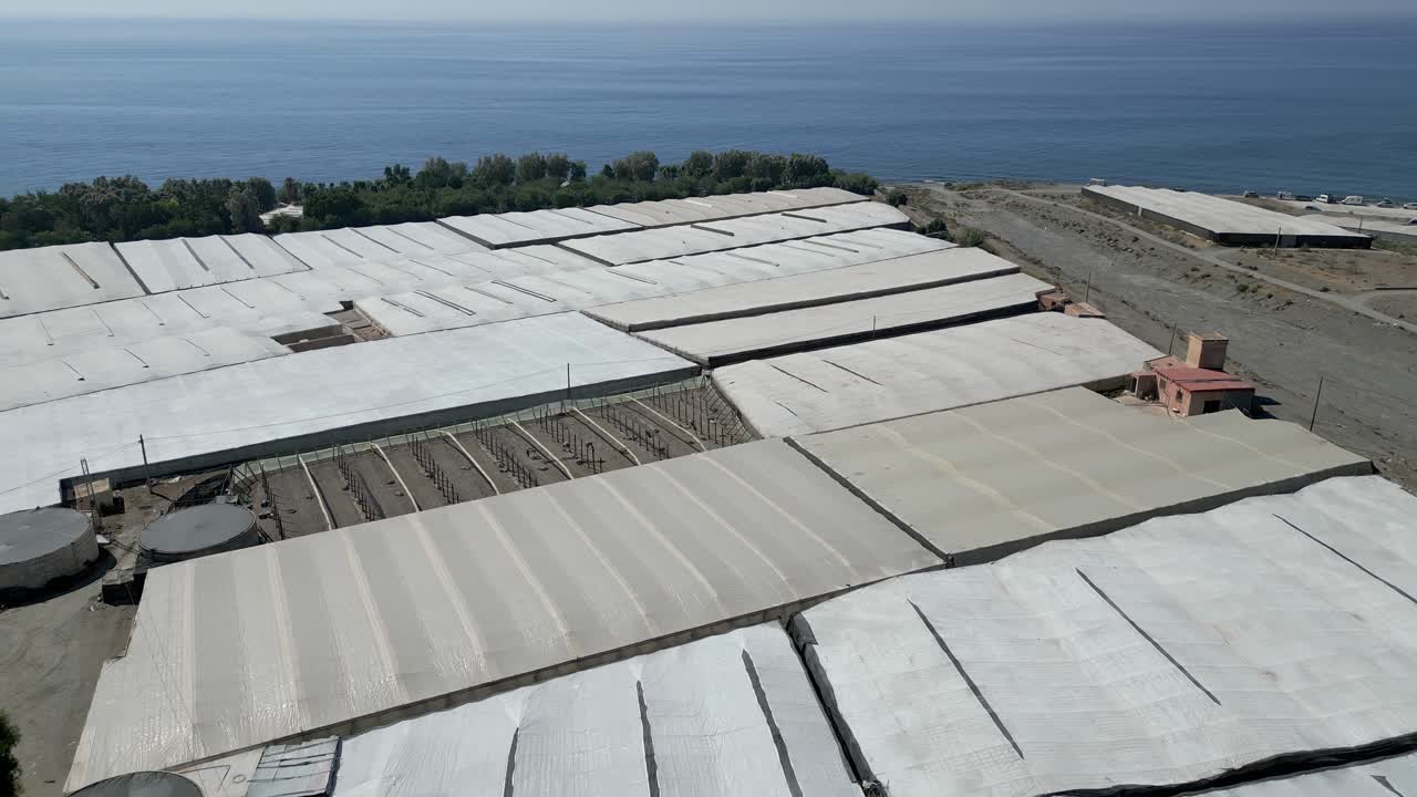 cultivos cultivados bajo los techos de invernaderos