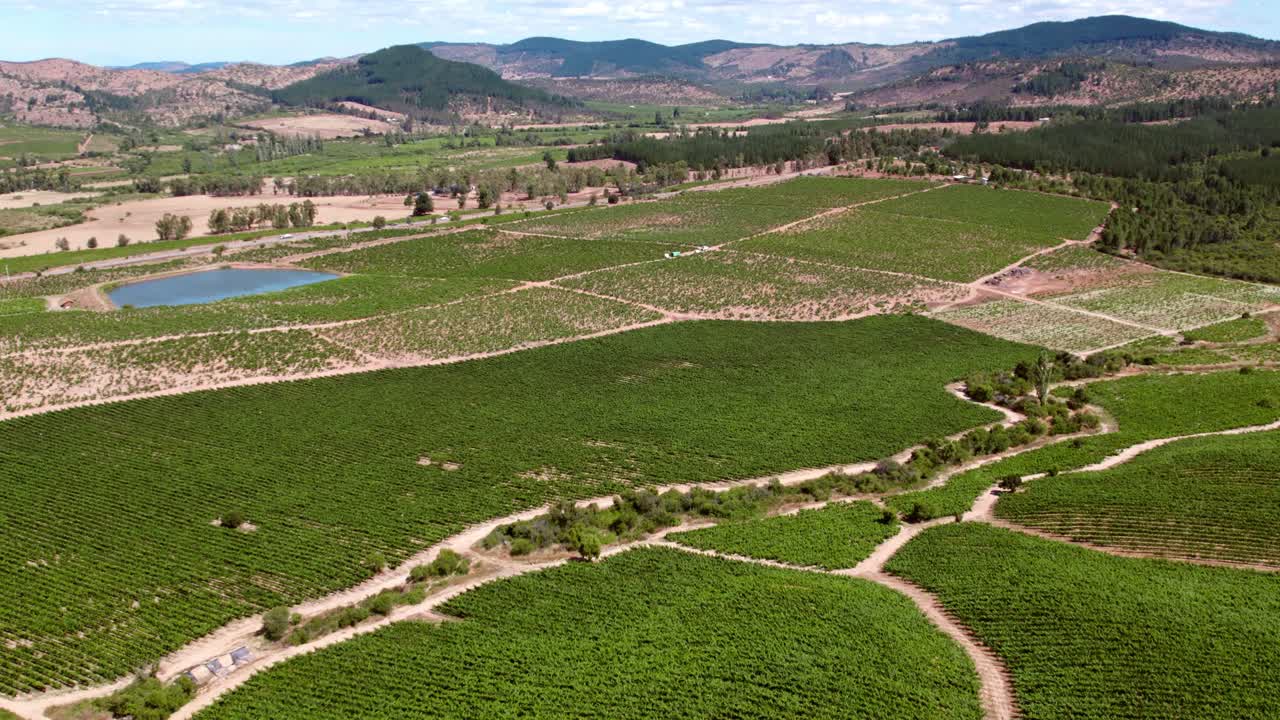 Aerial View Of Lush Green Vineyards On A Sunny Day In Maule Valley In Chile