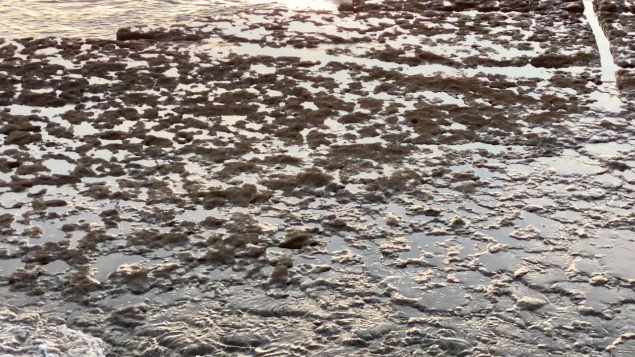 일몰 시 주황색 하늘을 배경으로 한 바다경관의 공중 기울기, 실루엣 지평선을 향해 앞으로 날아가는 드론