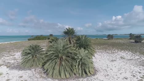 las rocas, el mar caribe