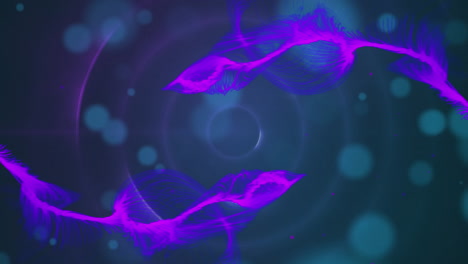 animación de círculos sobre senderos de luz