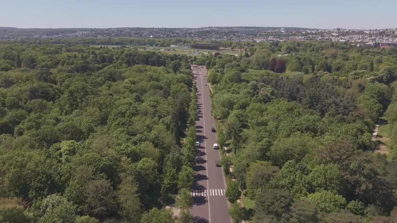 Drone aereo segue una strada alberata attraverso la foresta del Bois de Boulogne a Parigi