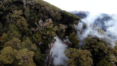 vista aérea de un bosque de niebla en las montañas