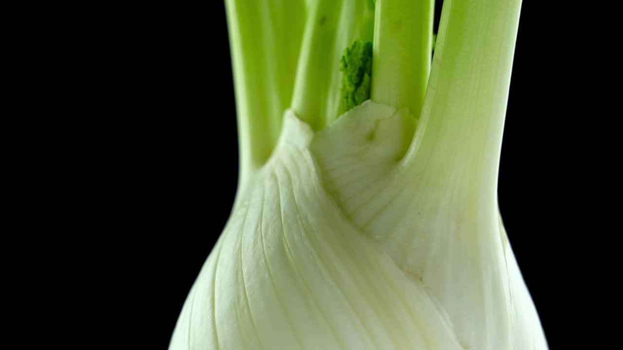 Young juicy fennel root on black background close view