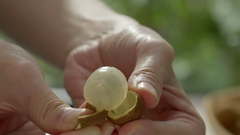 Fruta-Dulce-De-Longan,-Fruta-Asiática-Tradicional,-Primer-Plano-Del-Proceso-De-Pelado