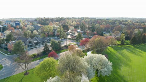 aerial of nature near city outskirts