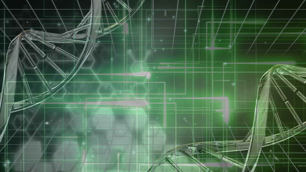 검은 바탕에 있는 빛의 흔적 위에 있는 dna 줄기의 애니메이션