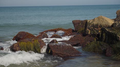 Pacíficas-Olas-Del-Océano-Tropical-Rompiendo-En-Rocas-Con-Algas-Marinas-En-Una-Cálida-Playa-En-Verano