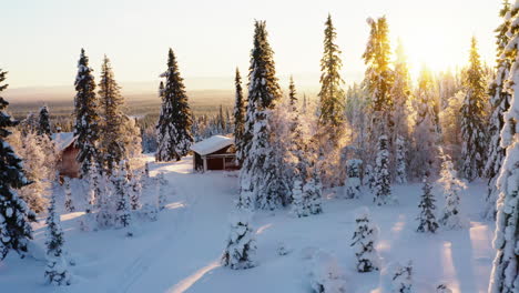 aerial view across glowing morning sunrise shining through snow covered woodland trees and idyllic rural cabin