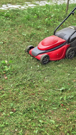 electric lawn mower in the garden. boy cutting grass by lawn mowing machine in summer day. gardening activity. vertical video