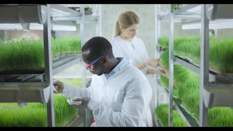 investigación y desarrollo de la agricultura vertical