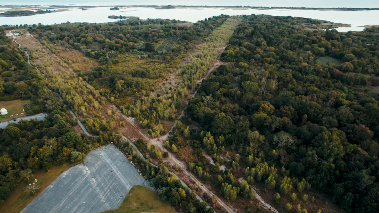 Abandoned Charlietown Airfield landing tarmac path covered in vegetation USA