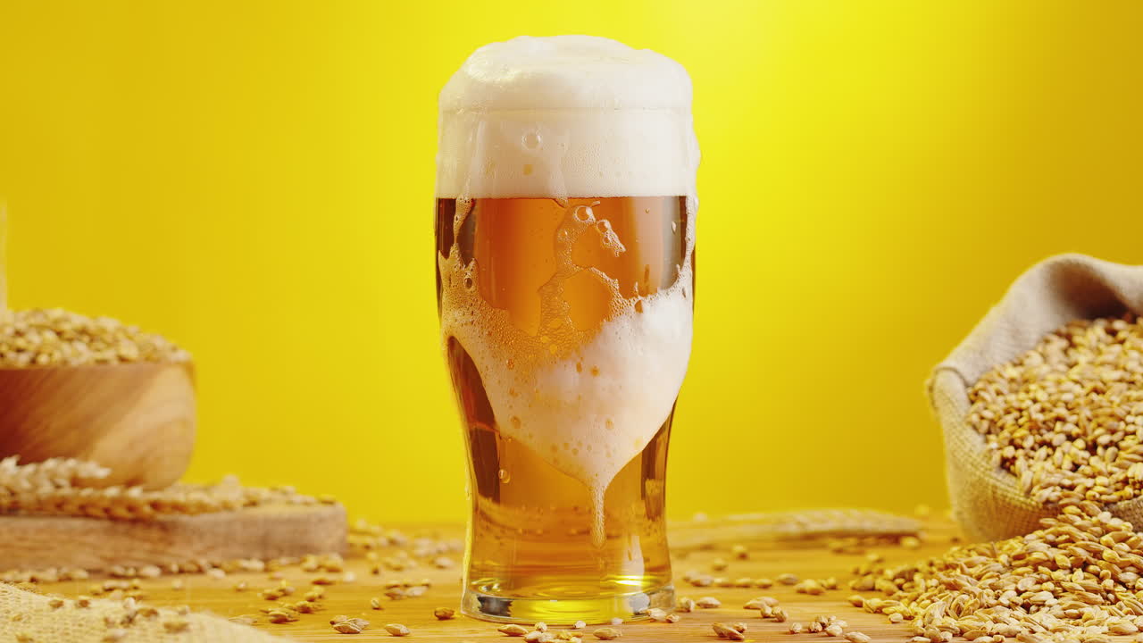 Glass of beer with foam and barley