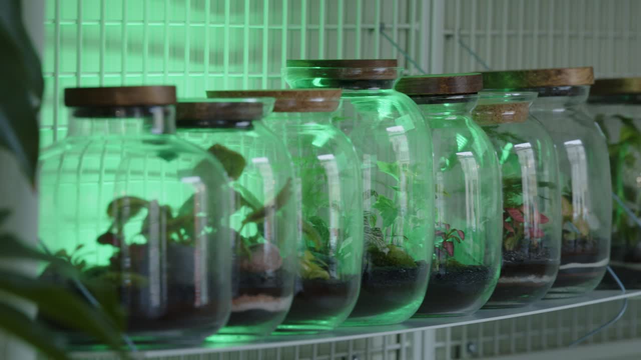 taller floral con pequeños ecosistemas en los terrarios - tarros confeccionados