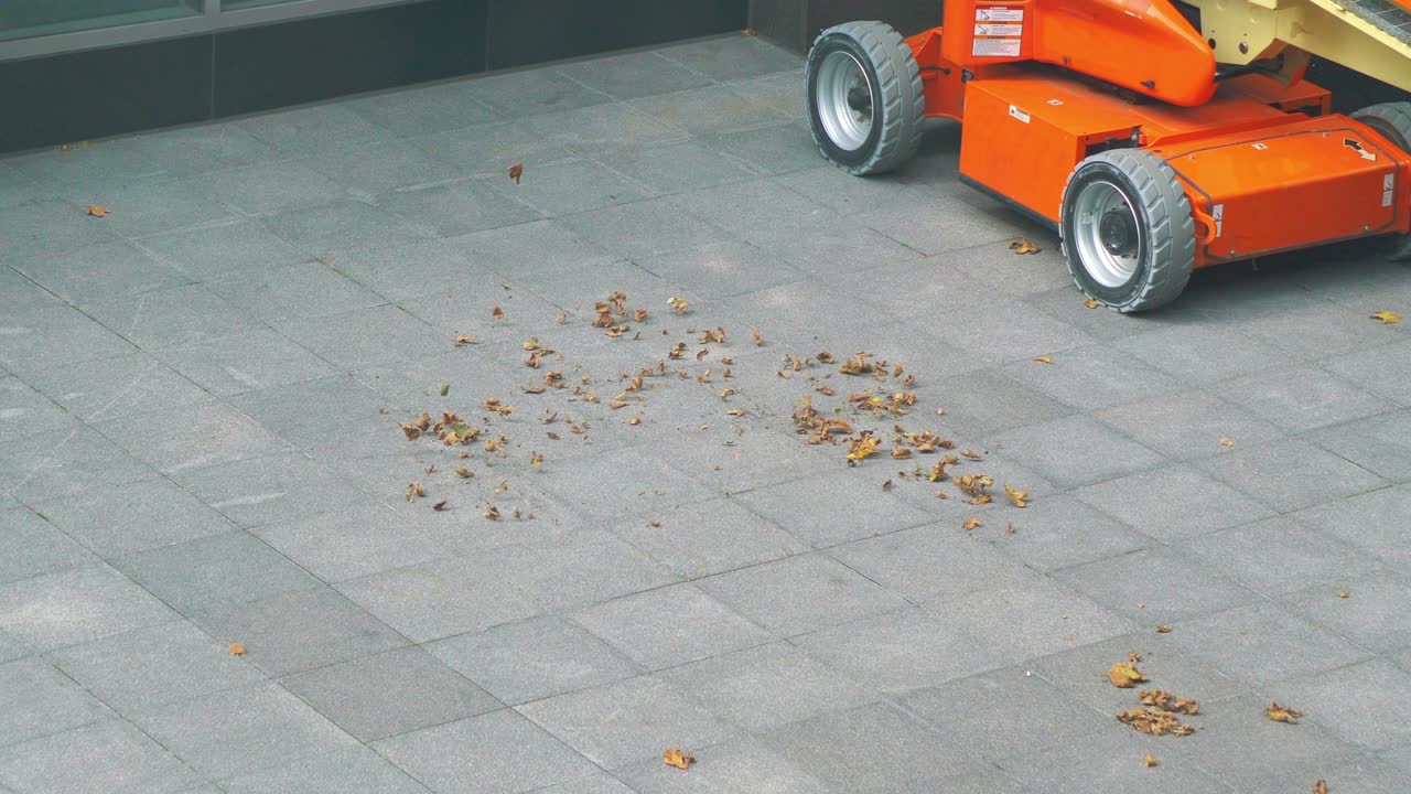 잎은 4k 느린 동작 60fps에서 바람에 원으로 회전합니다.