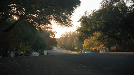 Calle-De-Barrio-Con-Mucha-Naturaleza-Y-árboles-Durante-La-Hora-Dorada