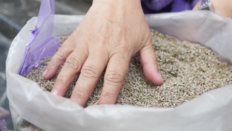 a woman's hand reaches into a bag of dried lavender flowers