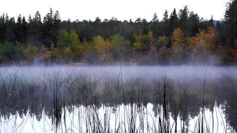 early morning mist over lake against a background of fall foliage