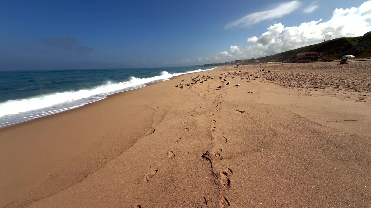 Gabbiani sulla spiaggia di Santa Cruz in Portogallo al mattino.