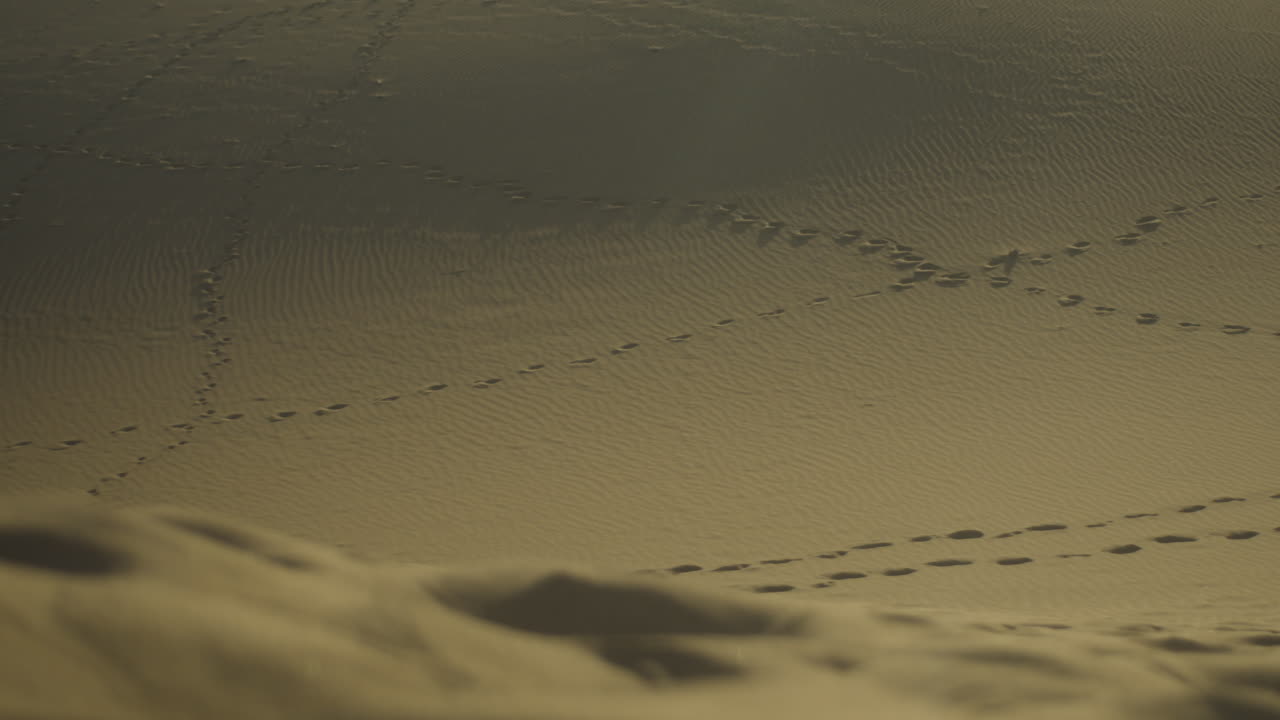 киносъемка десертного песка и отпечатков ног на песке с ручного управления