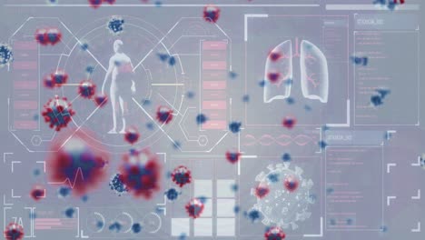 animación de células macro covid-19 flotando con iconos blancos que muestran una silueta humana y pulmones
