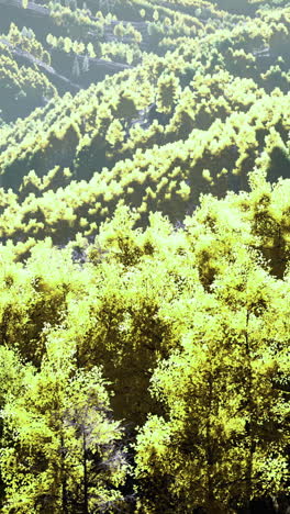 vibrant landscape showcasing lush green hills under golden sunlight